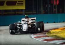 Gone to the dogs: how time has run out for greyhound racing