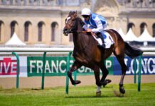 Newmarket, a town that is all about horses and horse racing